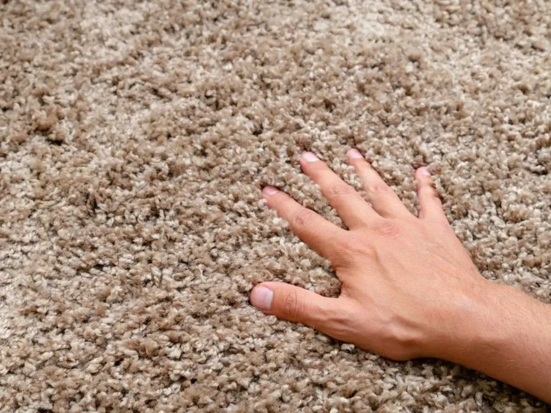 A person's hands carefully inspecting the intricate pattern of a carpet.